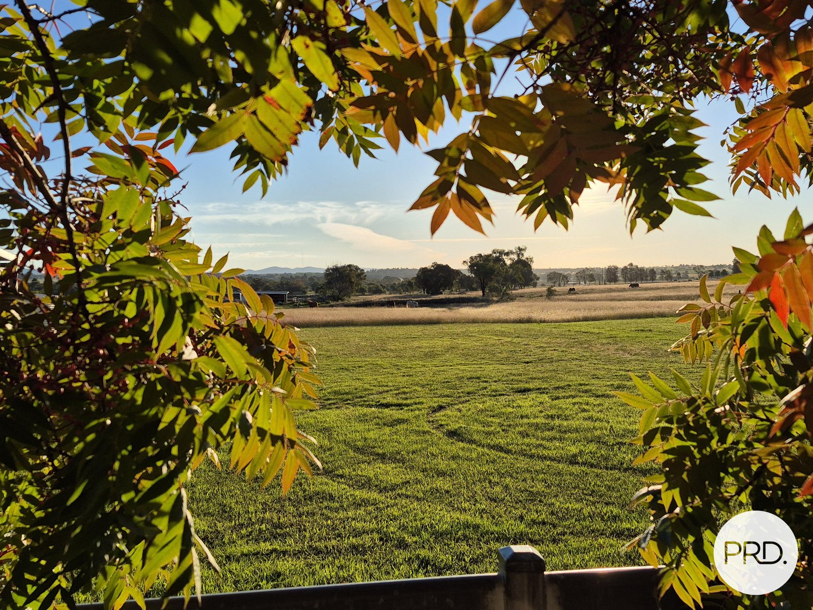 299 Whitehouse Lane TAMWORTH 9