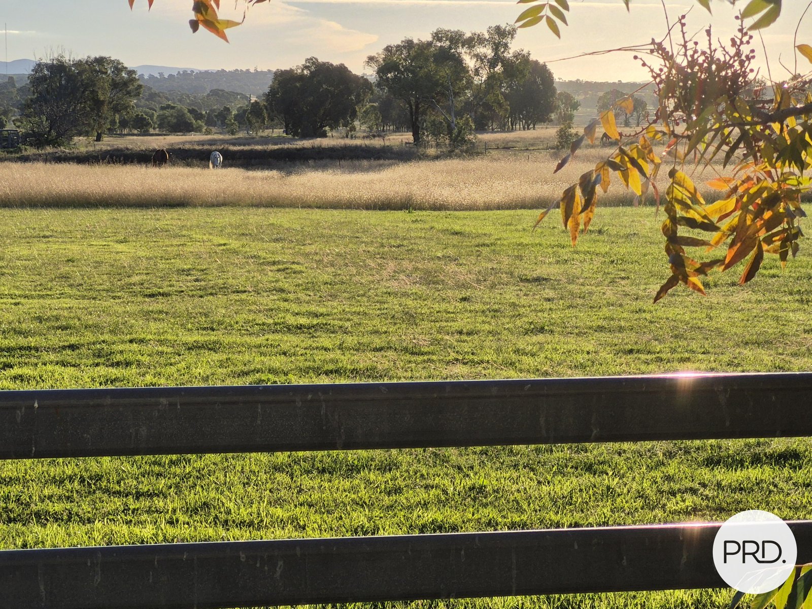 299 Whitehouse Lane TAMWORTH 10