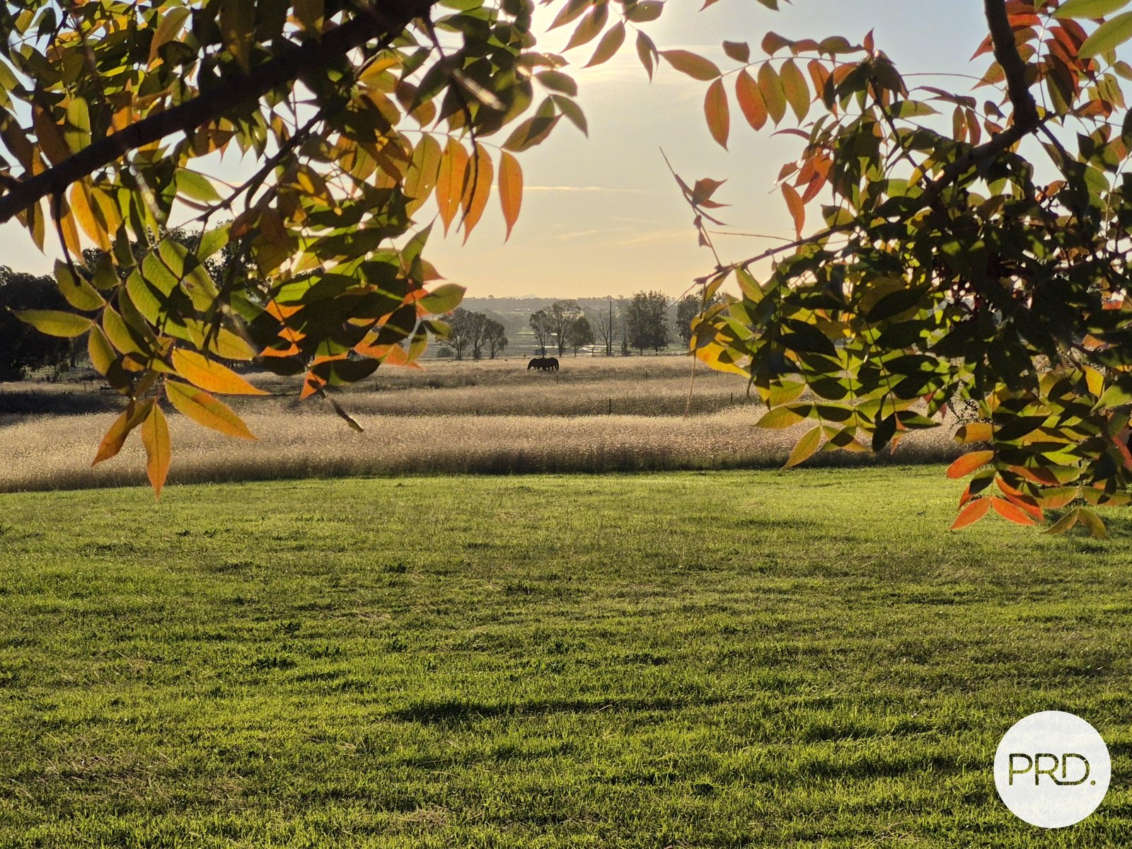 299 Whitehouse Lane TAMWORTH 12