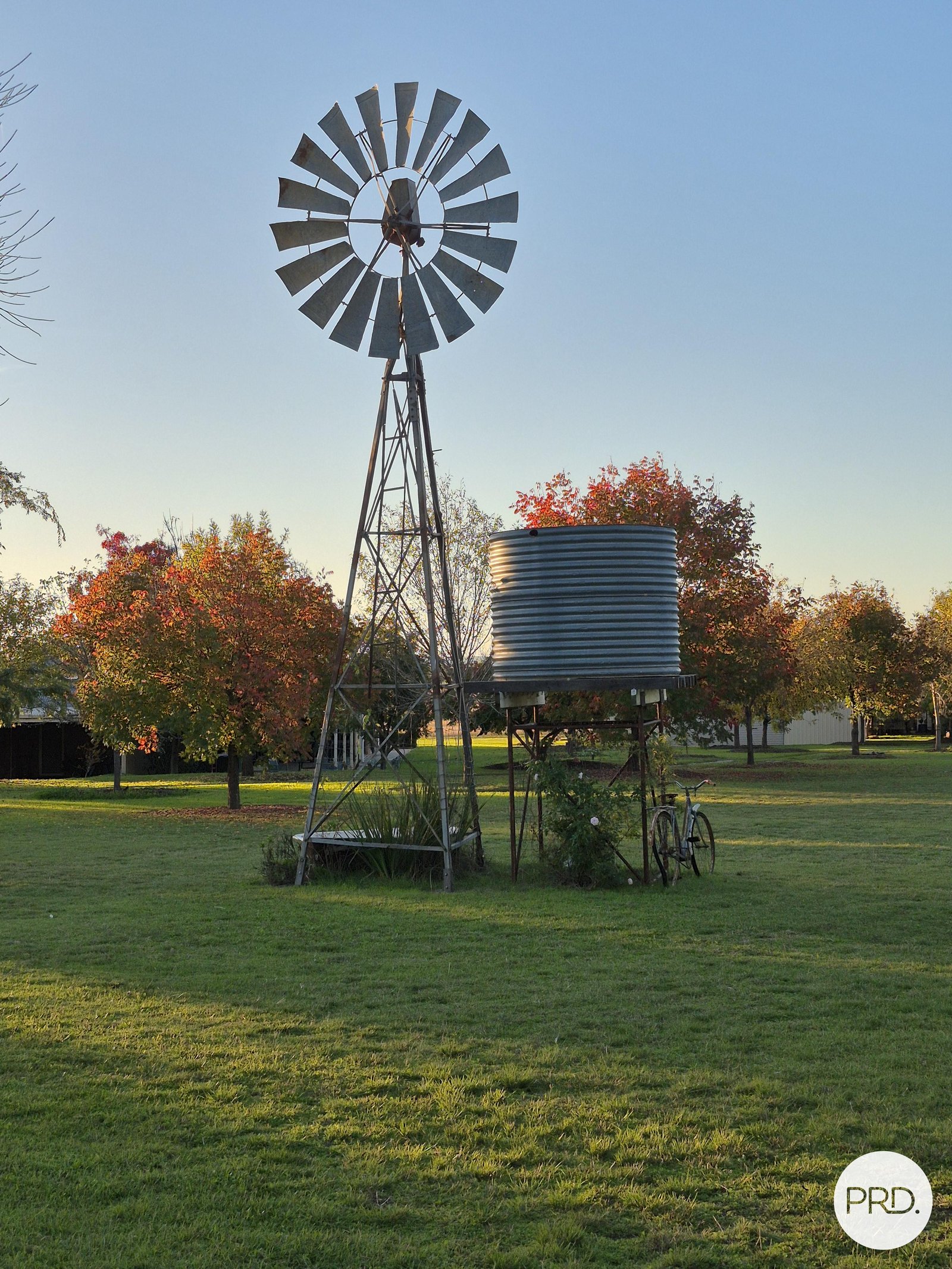 299 Whitehouse Lane TAMWORTH 16