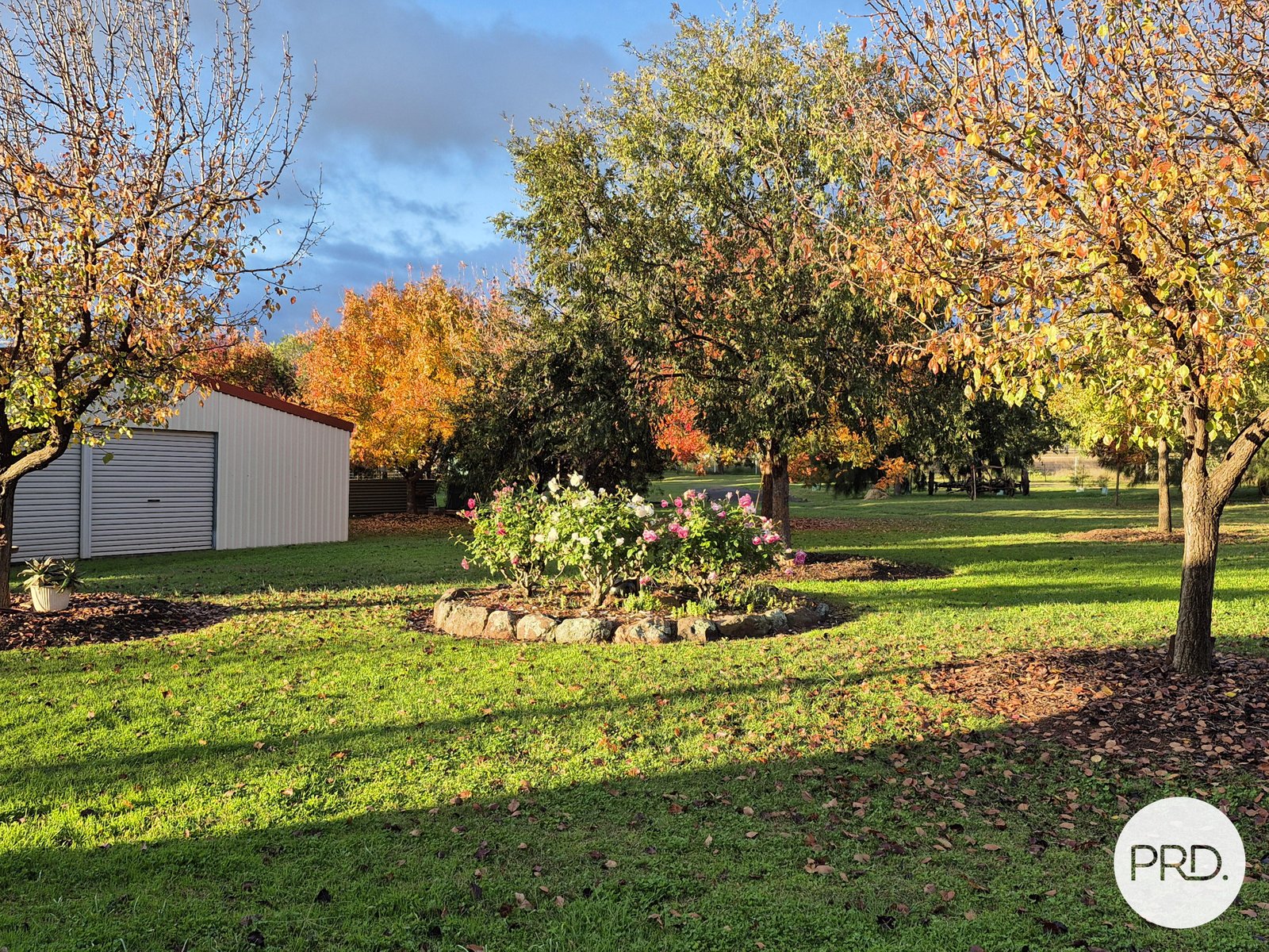 299 Whitehouse Lane TAMWORTH 17