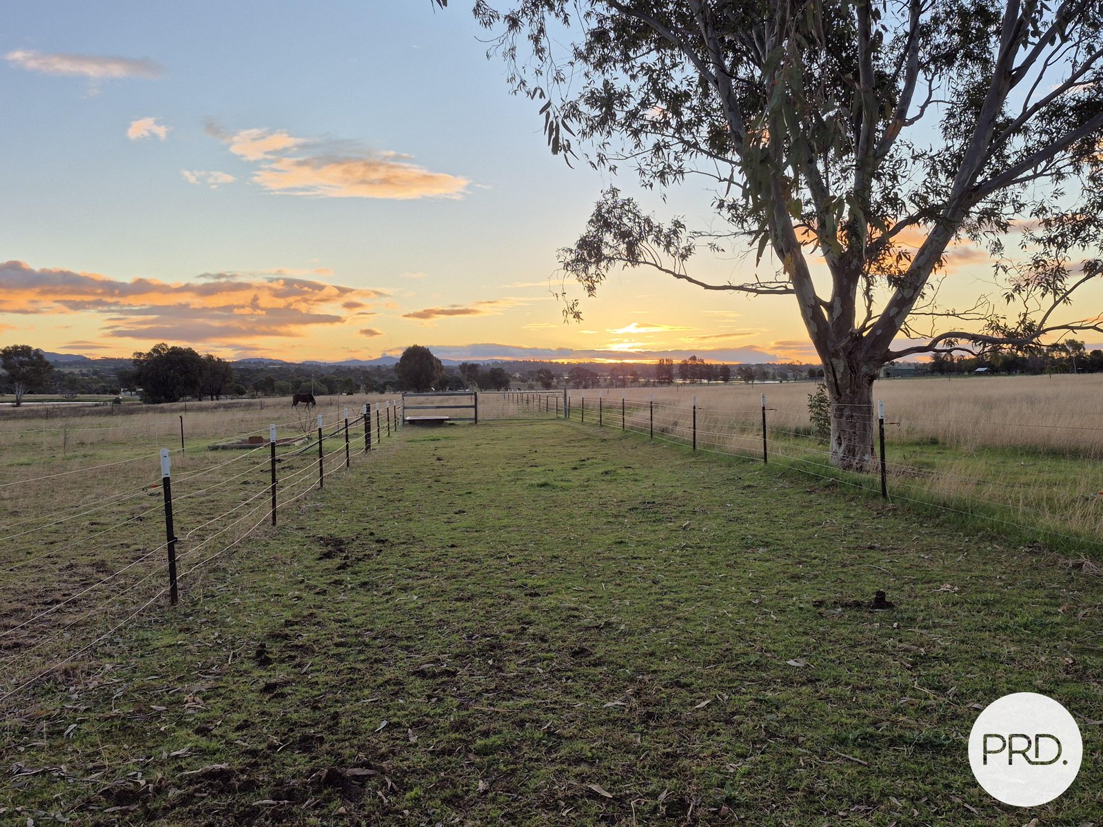 299 Whitehouse Lane TAMWORTH 19