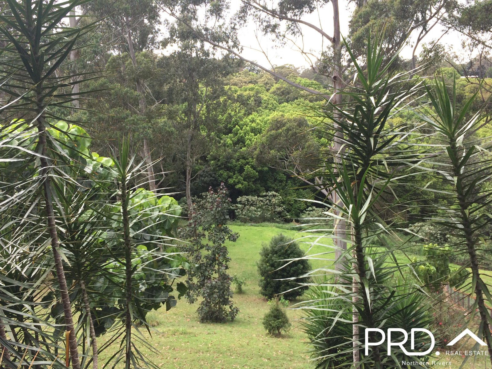 29A Forestoak Way GOONELLABAH 13