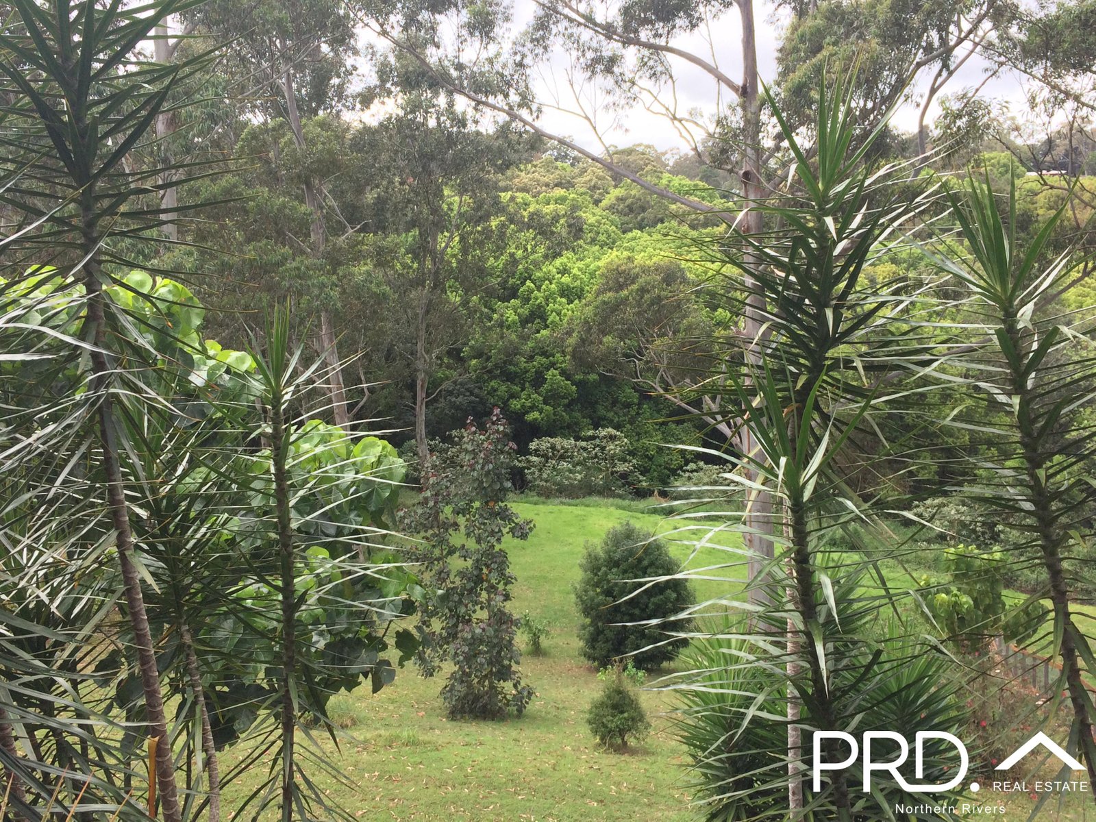 29A Forestoak Way GOONELLABAH 1