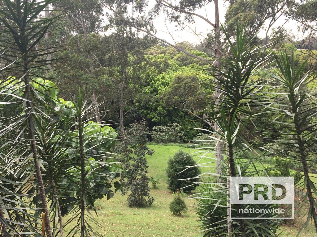 29A Forestoak Way GOONELLABAH 2