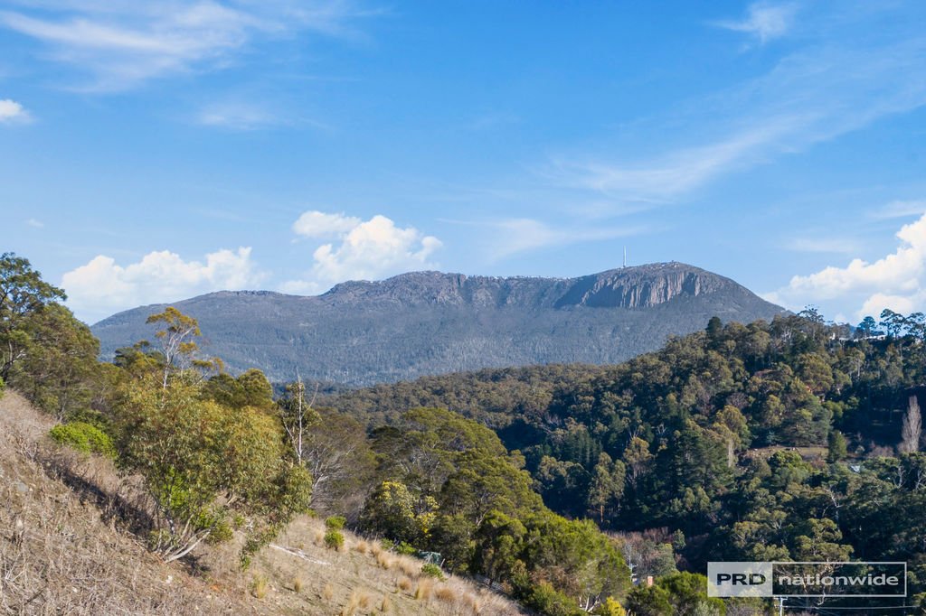 2A Montrivale Rise DYNNYRNE 10