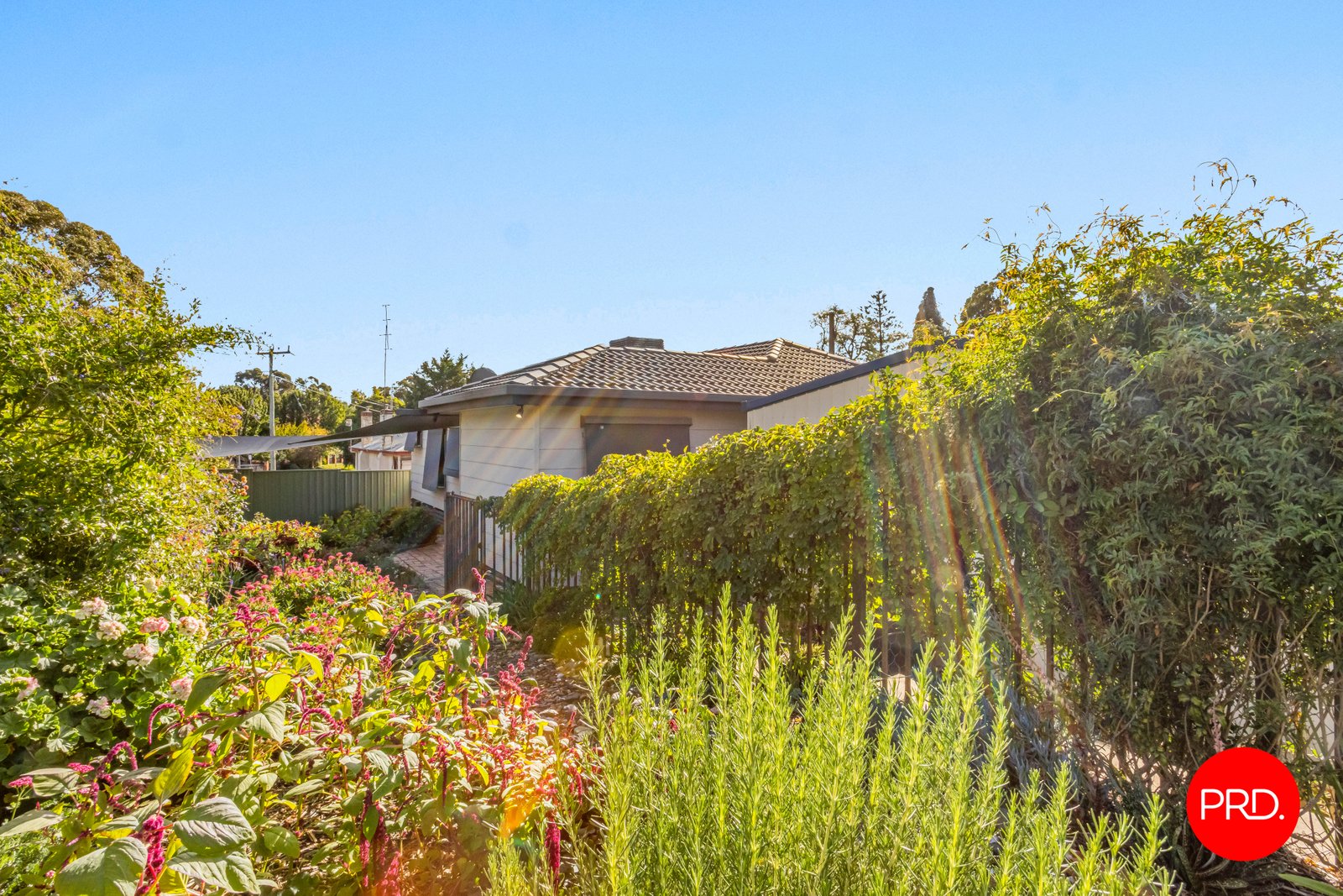 2a Pethard Place GOLDEN SQUARE 12