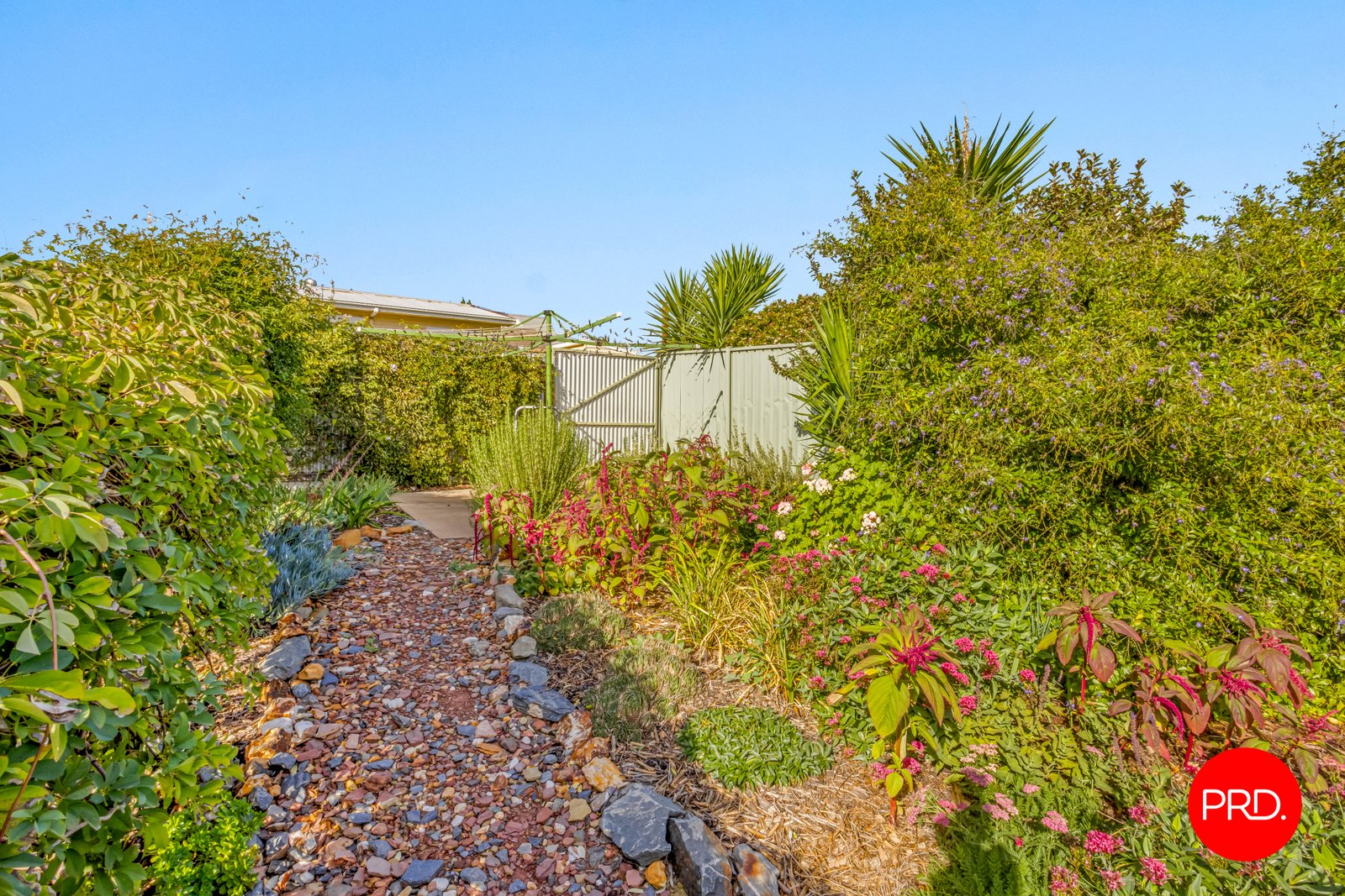 2a Pethard Place GOLDEN SQUARE 19
