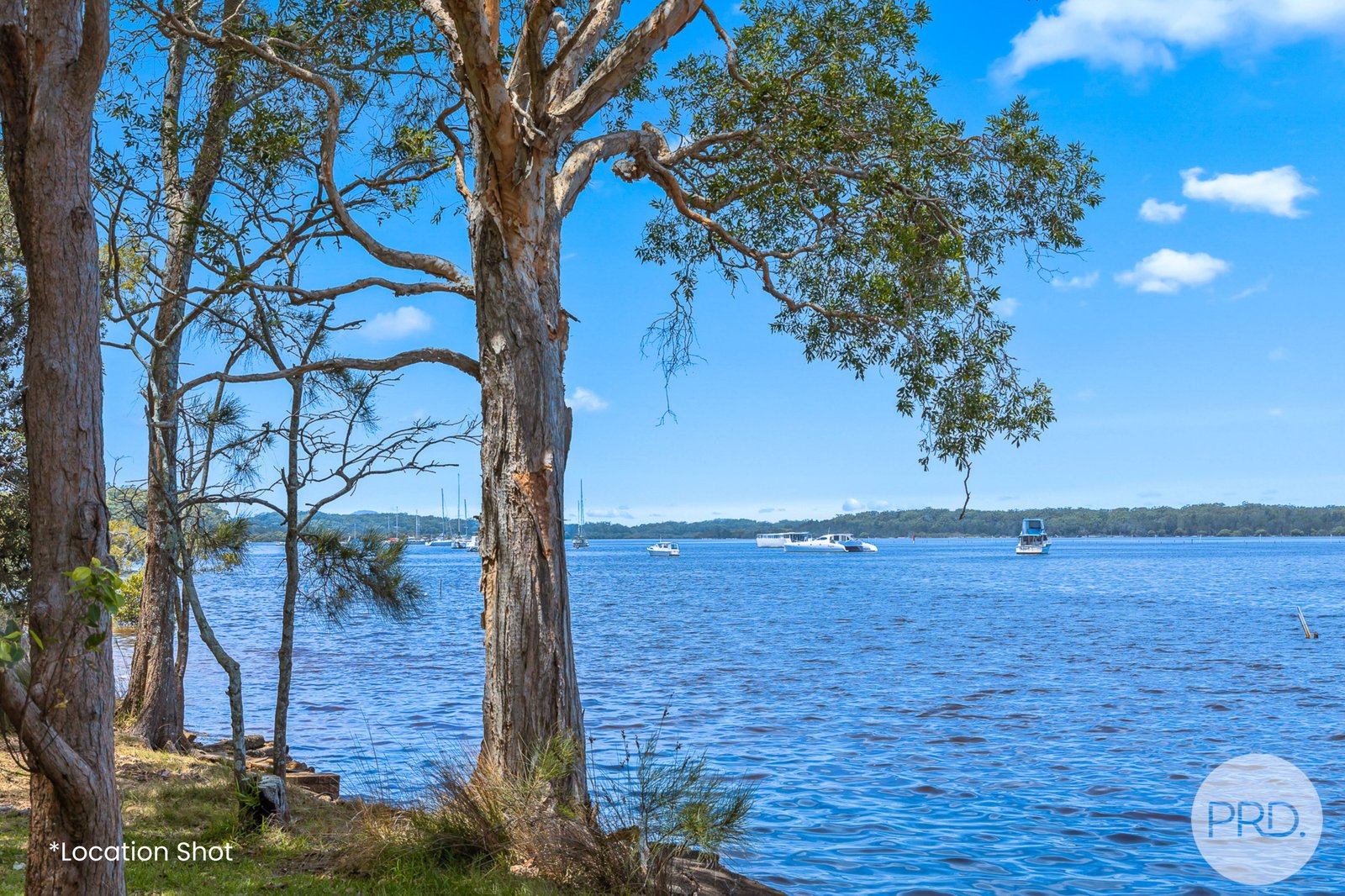 2A Rose Street LEMON TREE PASSAGE 32