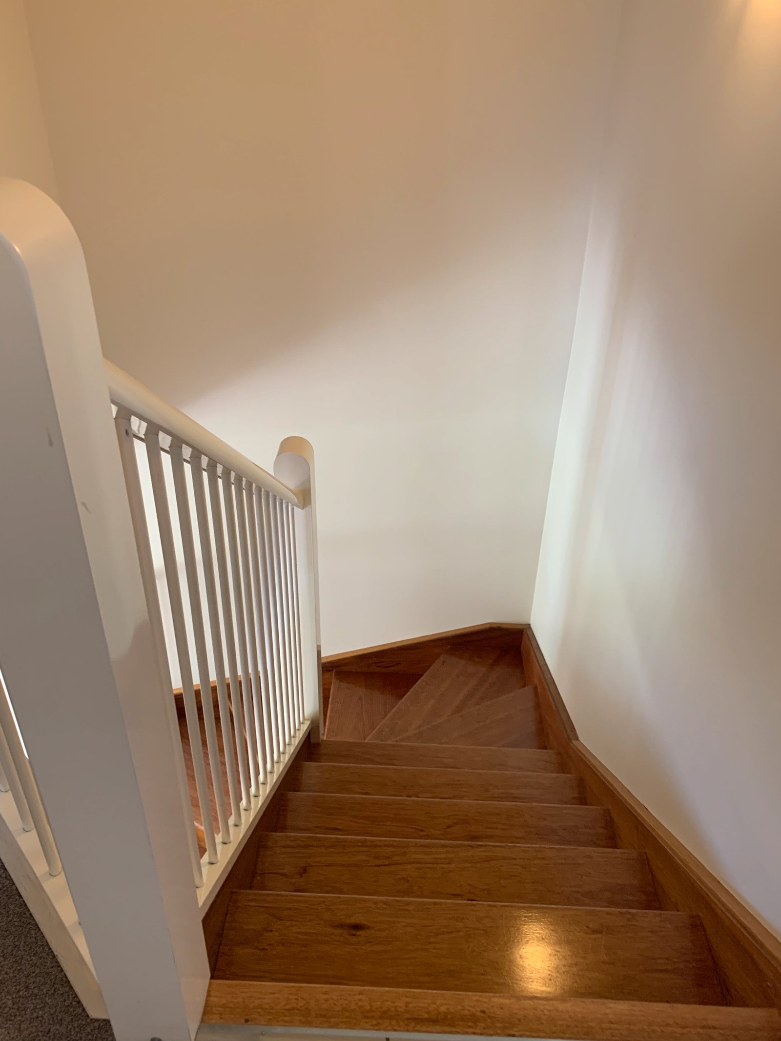 2B Dent St  Merewether 5