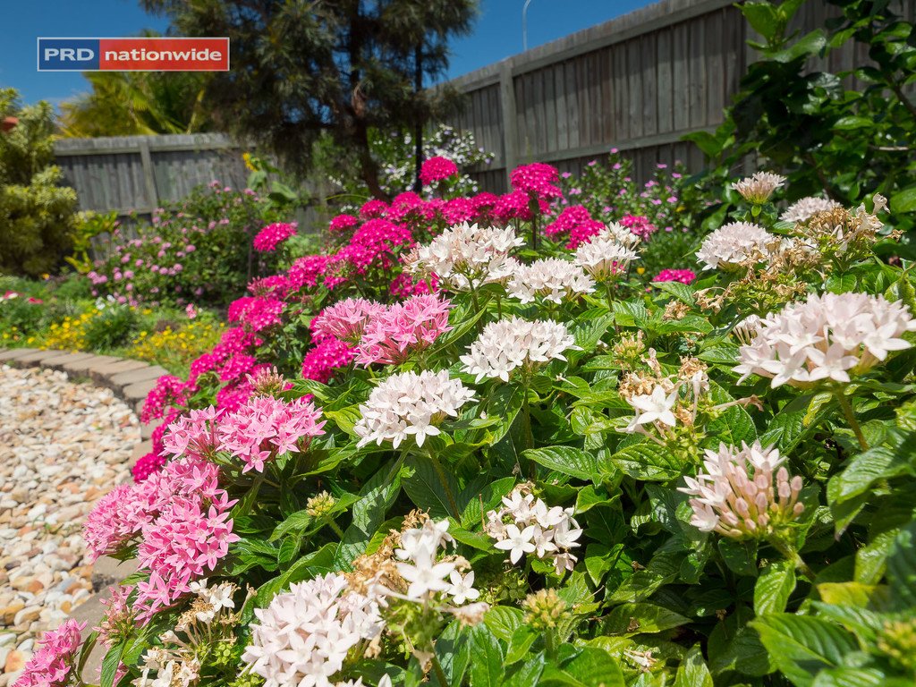 3 Adam Court URANGAN 17