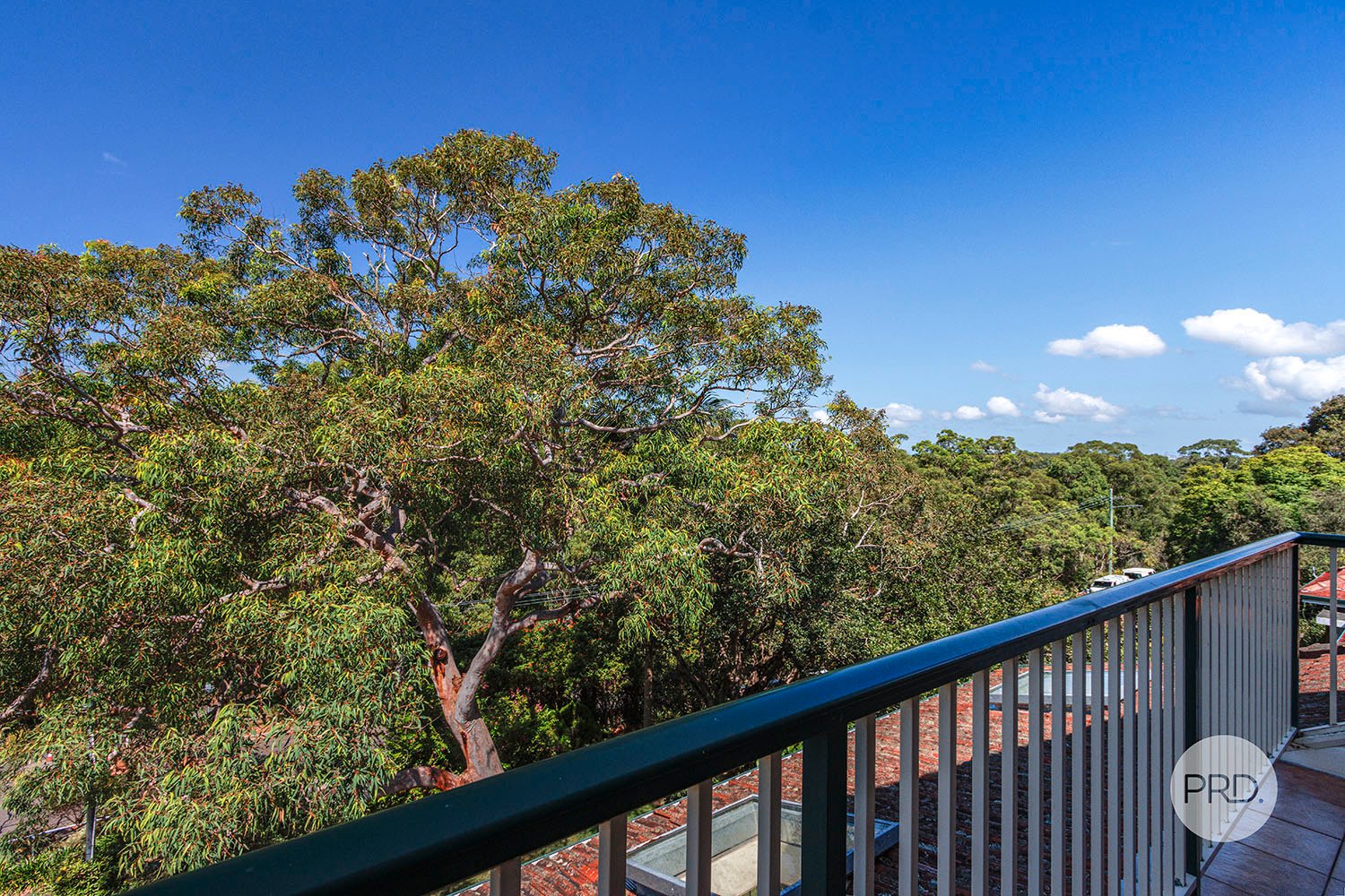 3 Annette Street OATLEY 3