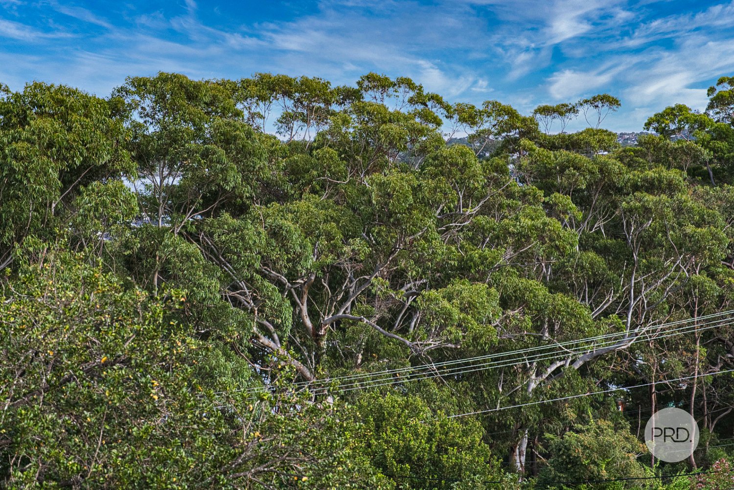 3 Annette Street OATLEY 4