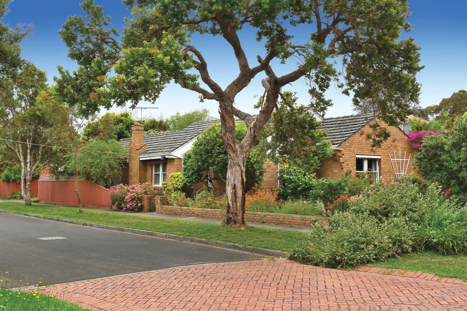 3 Austin Road, Hampton, VIC