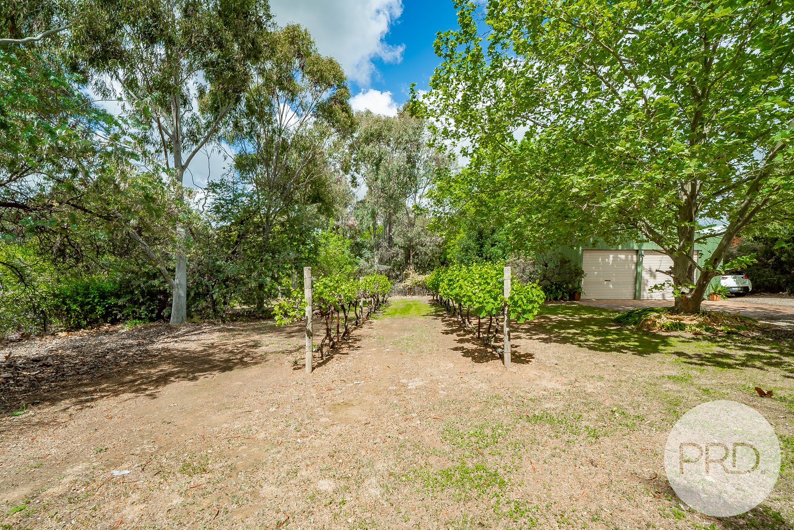 3 Banksia Place SPRINGVALE 33