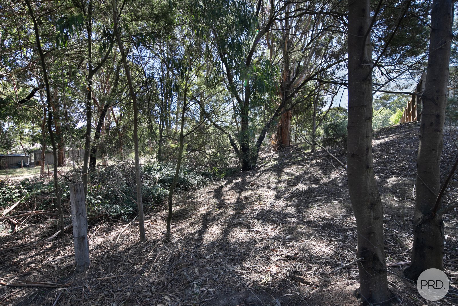 3 Barkly Street BUNINYONG 13