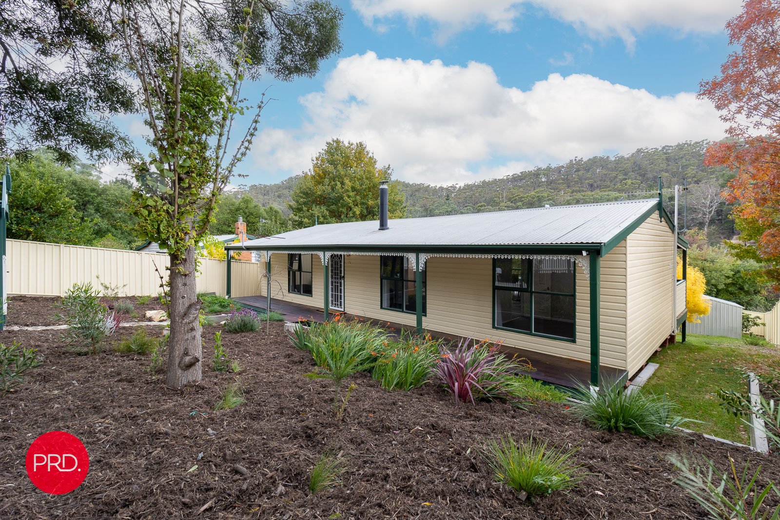 3 Beazley Street CAPTAINS FLAT 1