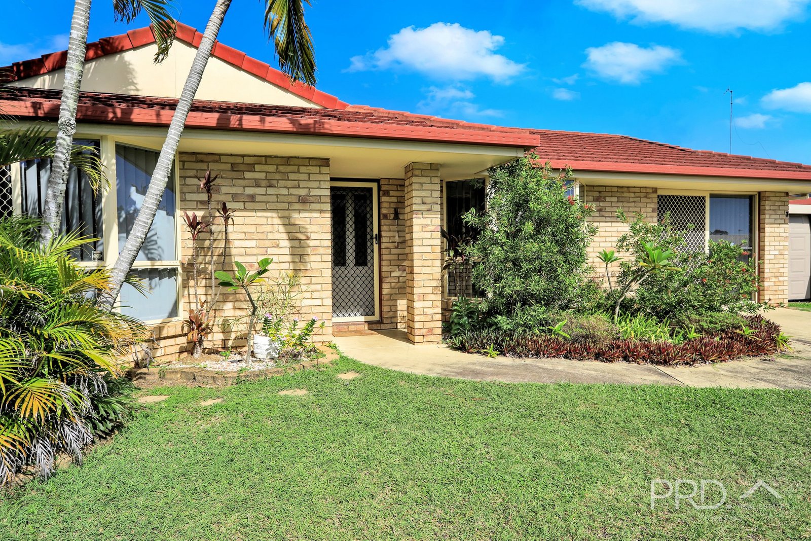 3 Bloodwood Court KAWUNGAN 34