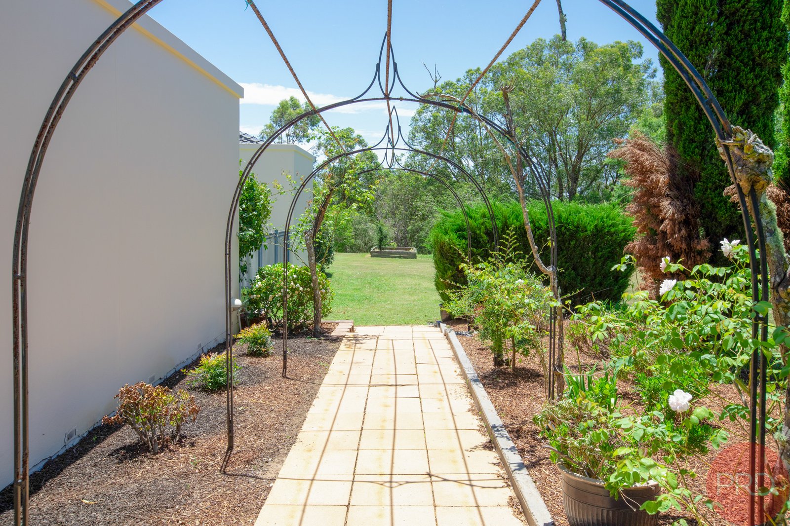 3 Brompton Close BOLWARRA HEIGHTS 24