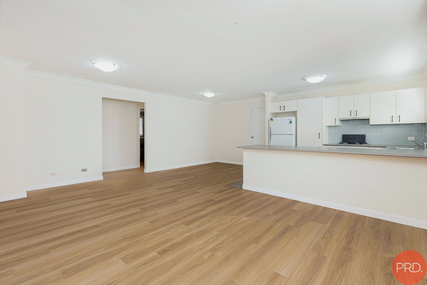 3 Cambrian Place EAST MAITLAND 10