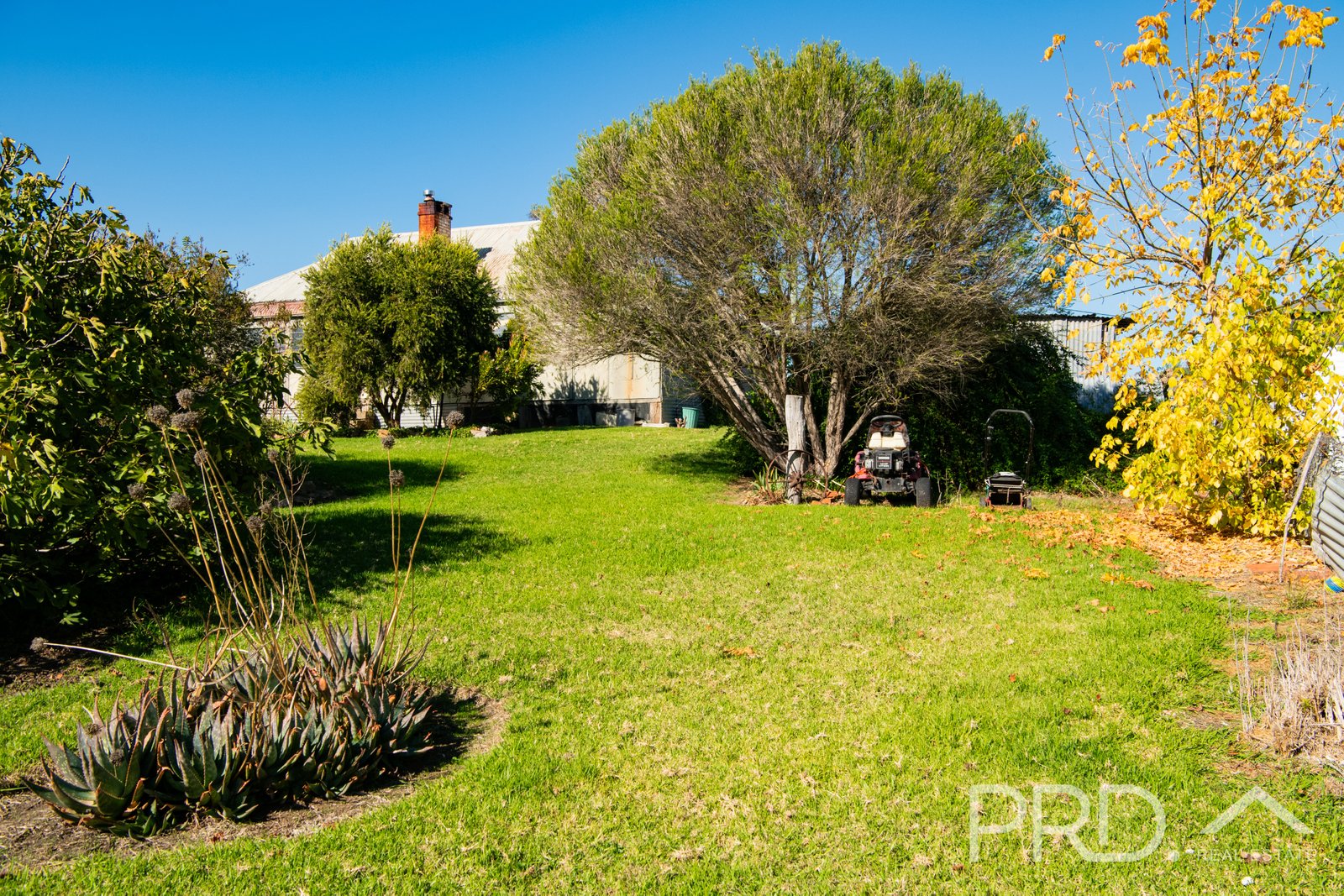 3 Camp Street ADELONG 13