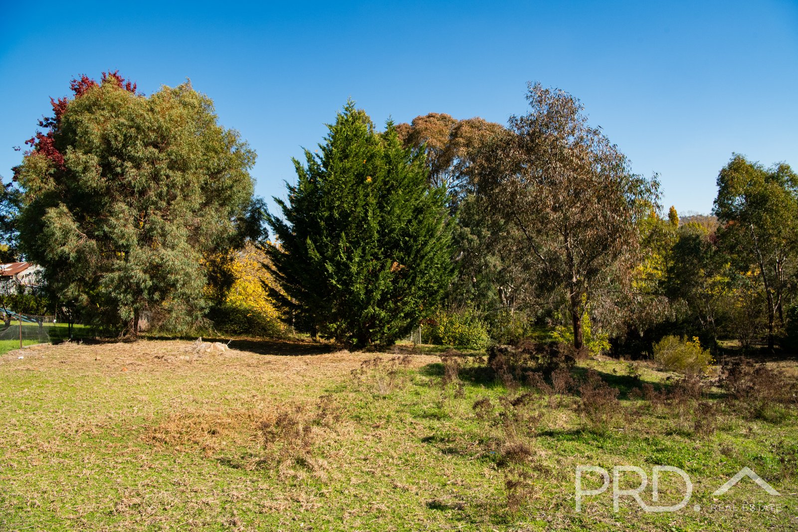 3 Camp Street ADELONG 15