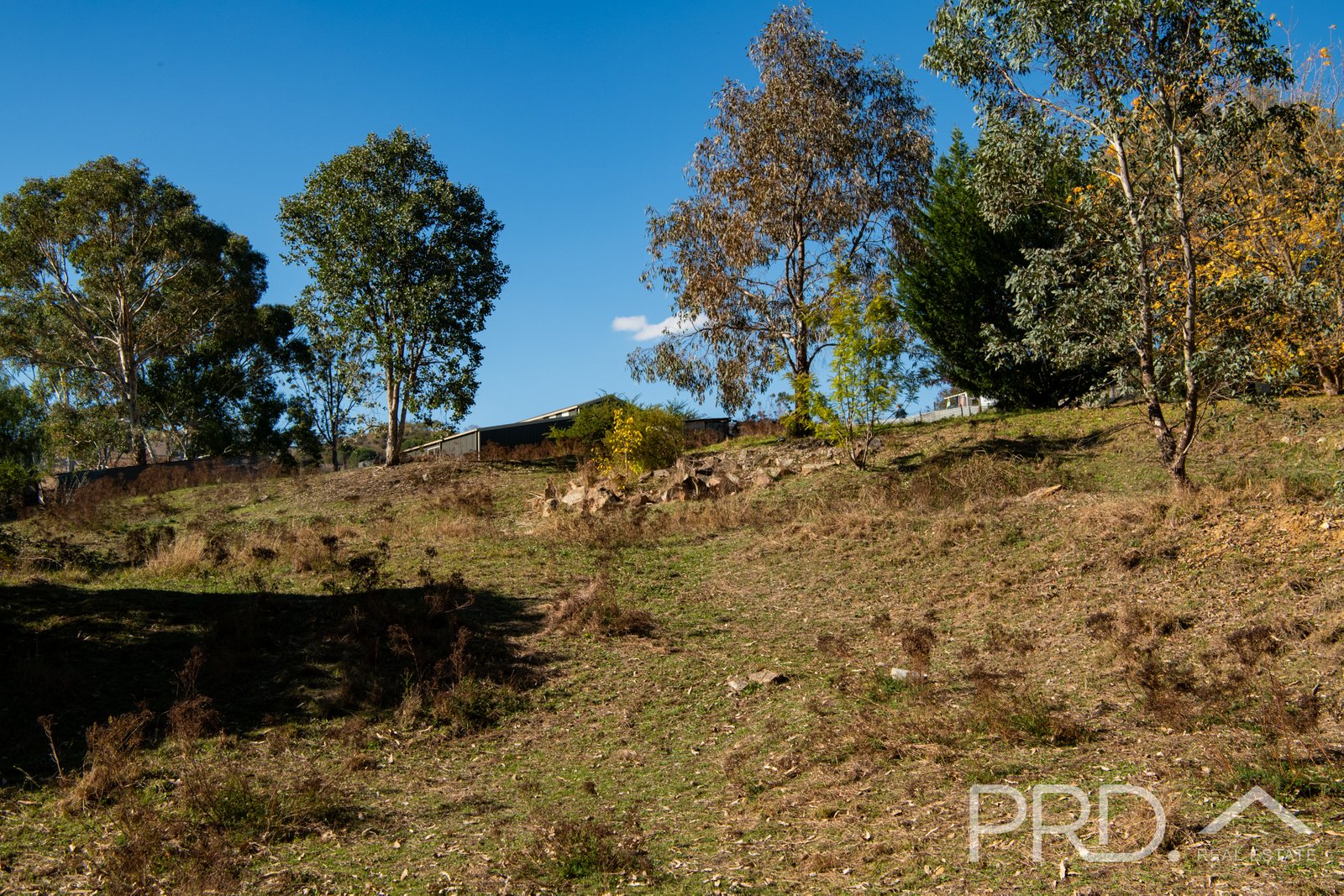 3 Camp Street ADELONG 16