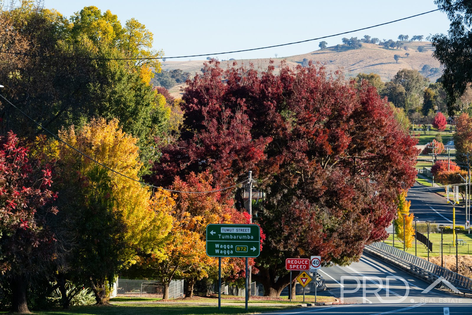 3 Camp Street ADELONG 21