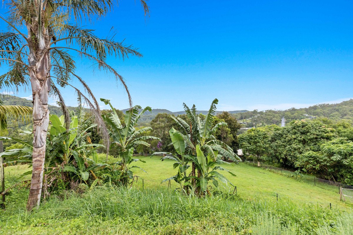 3 Carapook Crescent TALLEBUDGERA 3