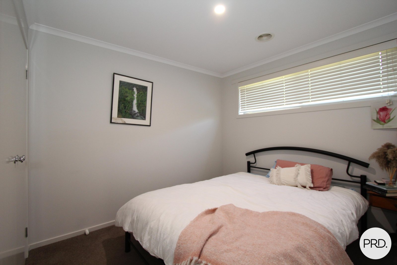 3 Carmichael Court SEBASTOPOL 9