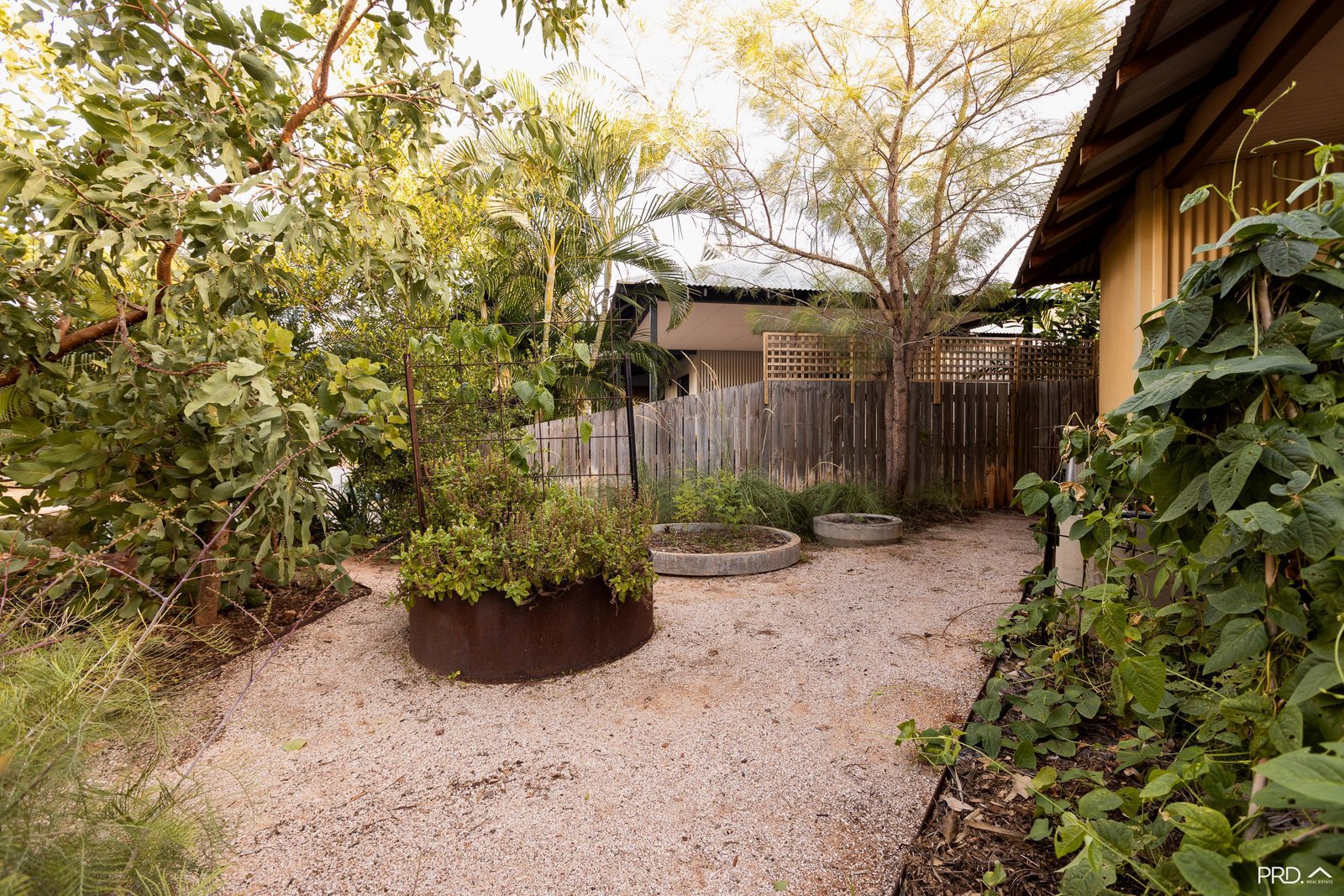 3 Celtic Loop CABLE BEACH 6