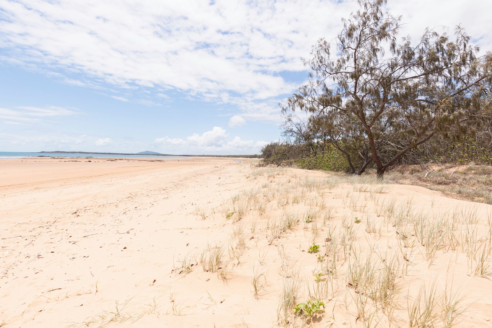 3 Coral Court ILBILBIE 27