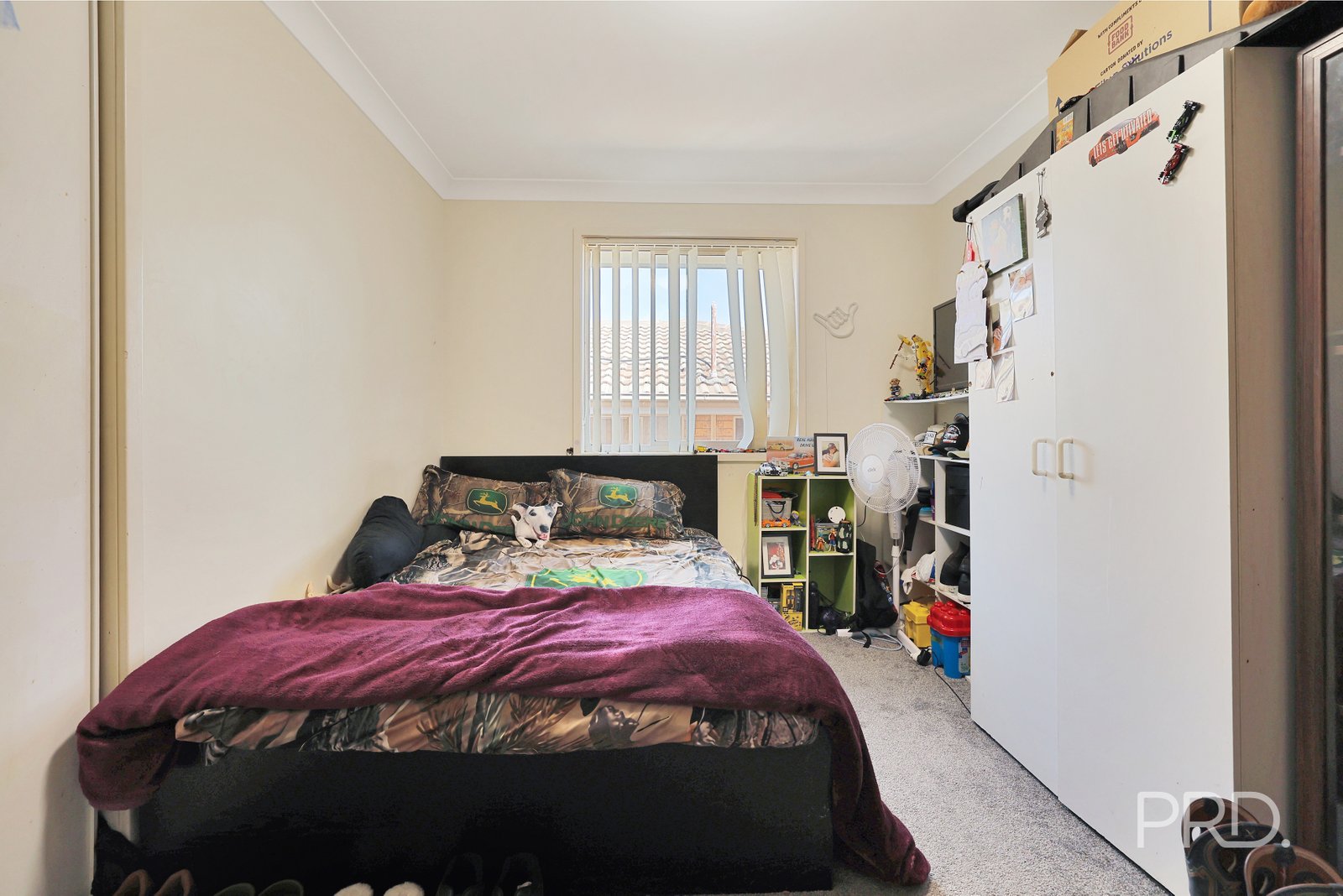 3 Cory Street OXLEY VALE 6