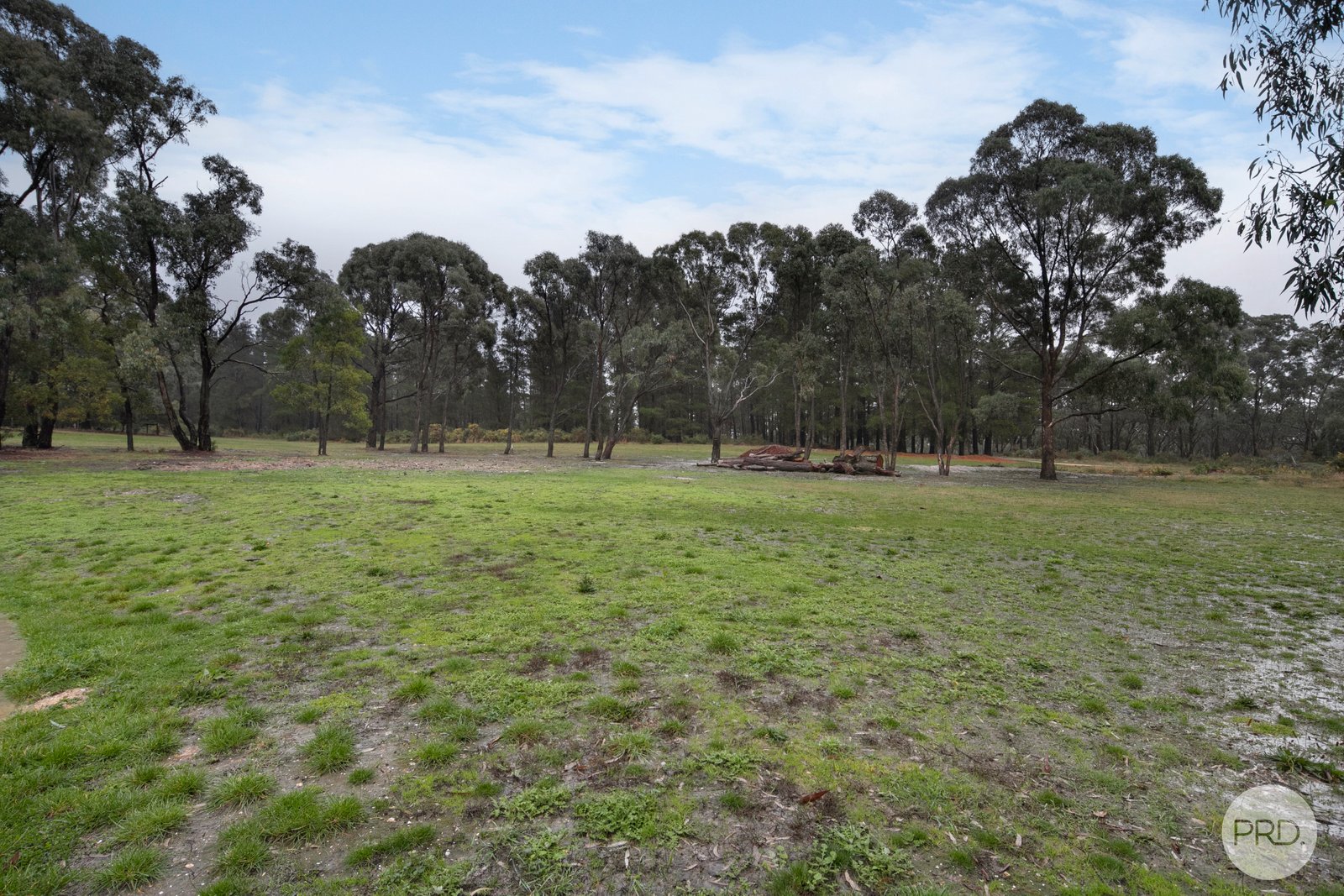 3 Curtin Court CRESWICK 2
