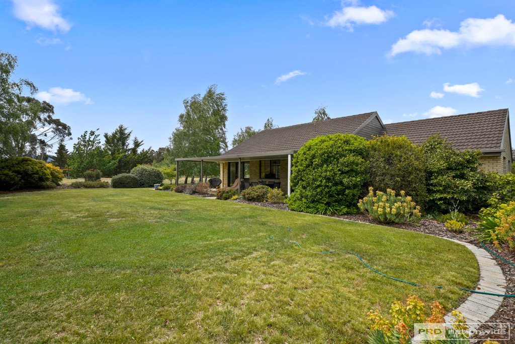 3 Daniel Place BRIGHTON 26