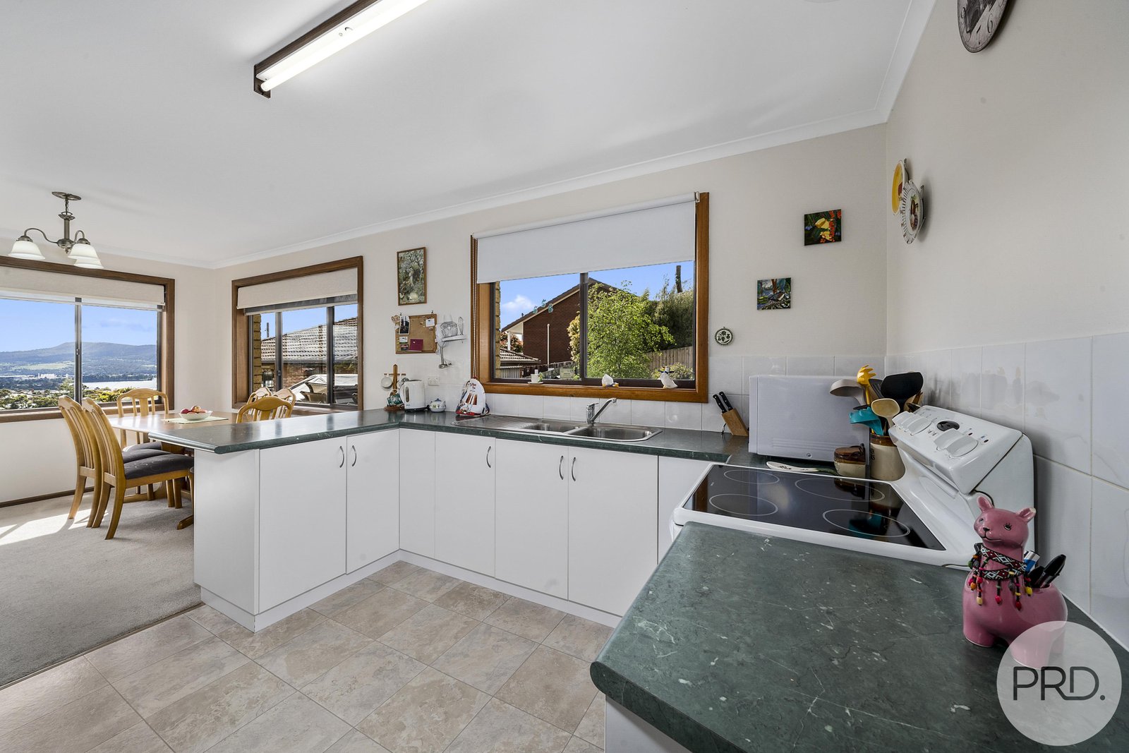 3 Dooleys Avenue ROSETTA 4