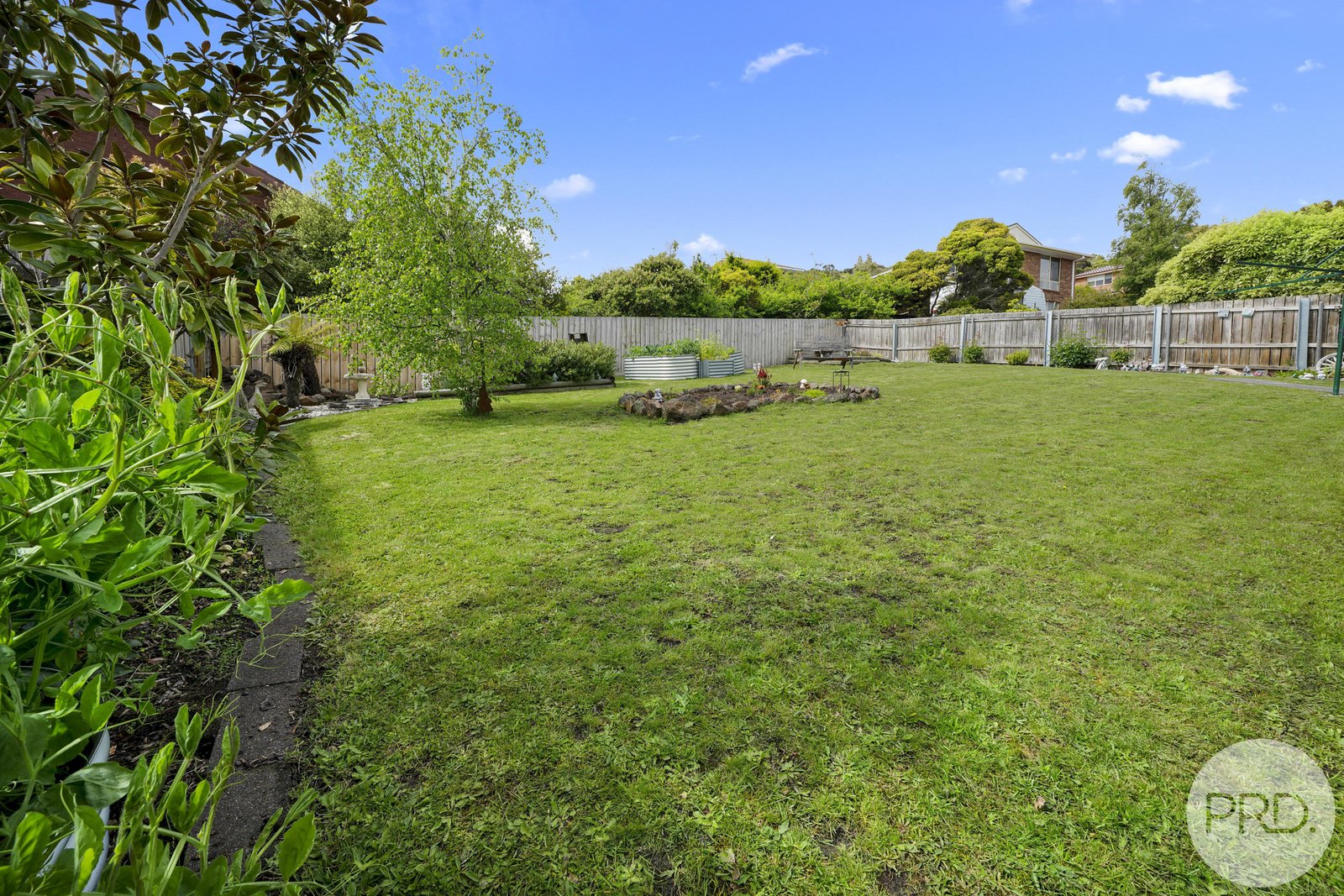 3 Dooleys Avenue ROSETTA 14