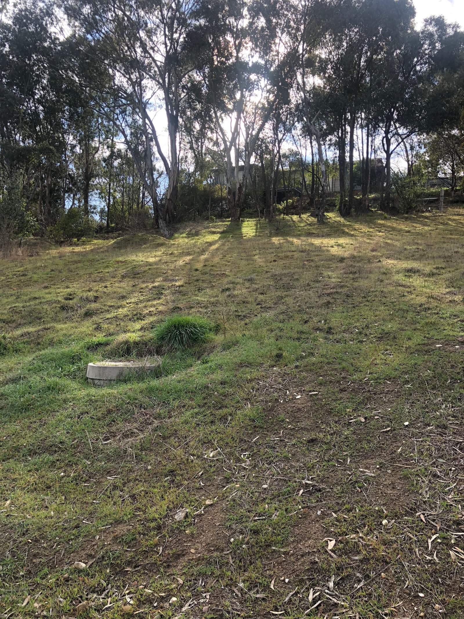 3 Eberlin Place TUMUT 3