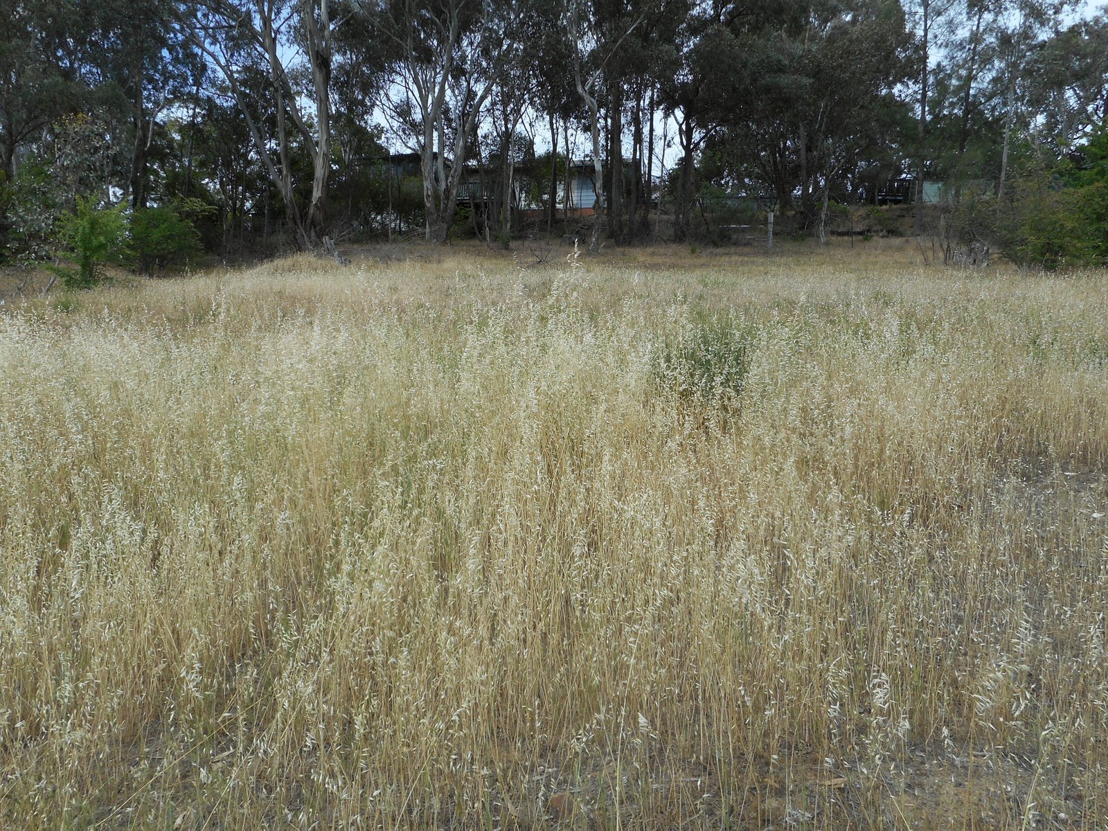 3 Eberlin Place TUMUT 5