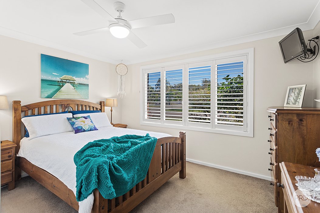 3 Elaine Avenue LEMON TREE PASSAGE 15