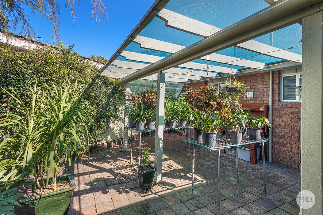 3 Elaine Avenue LEMON TREE PASSAGE 25