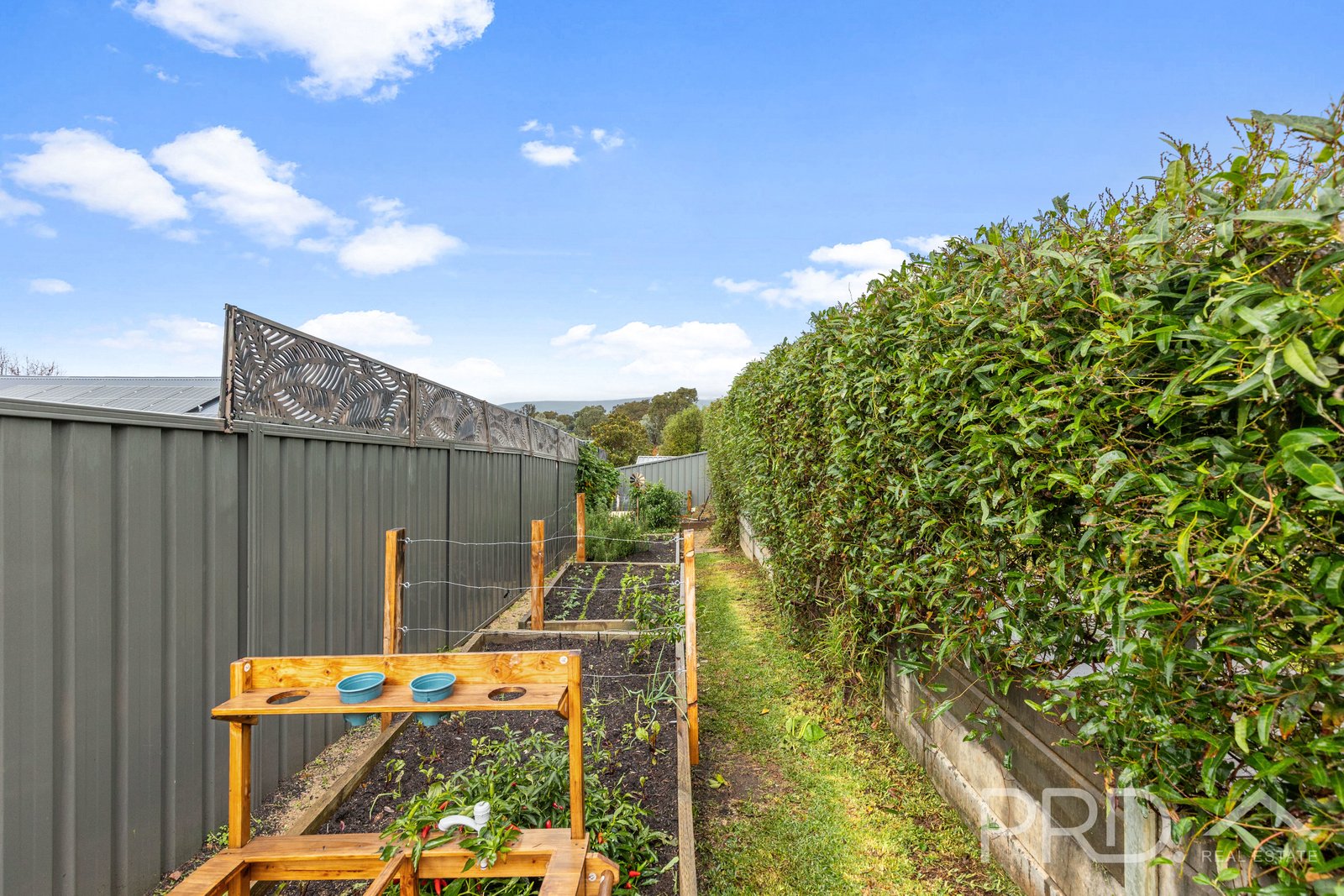 3 Emery Place TUMUT 19