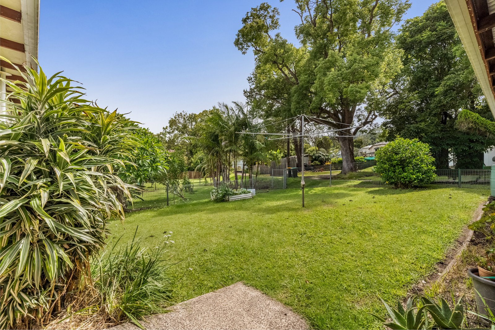 3 Ettrick Street KYOGLE 5