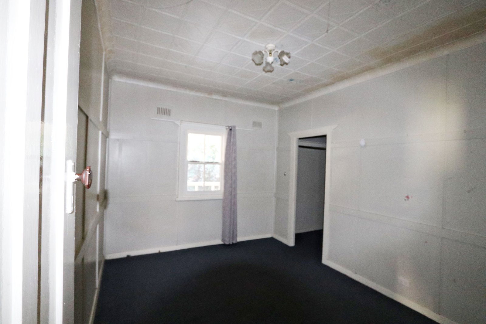 3 Eurabbie  BATLOW 5