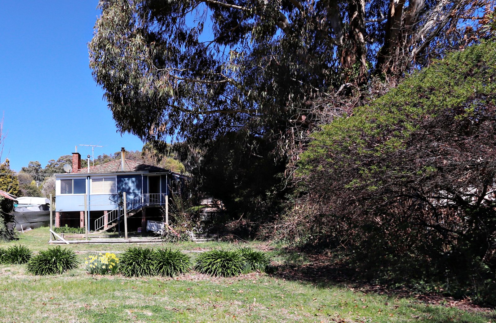 3 Eurabbie  BATLOW 8