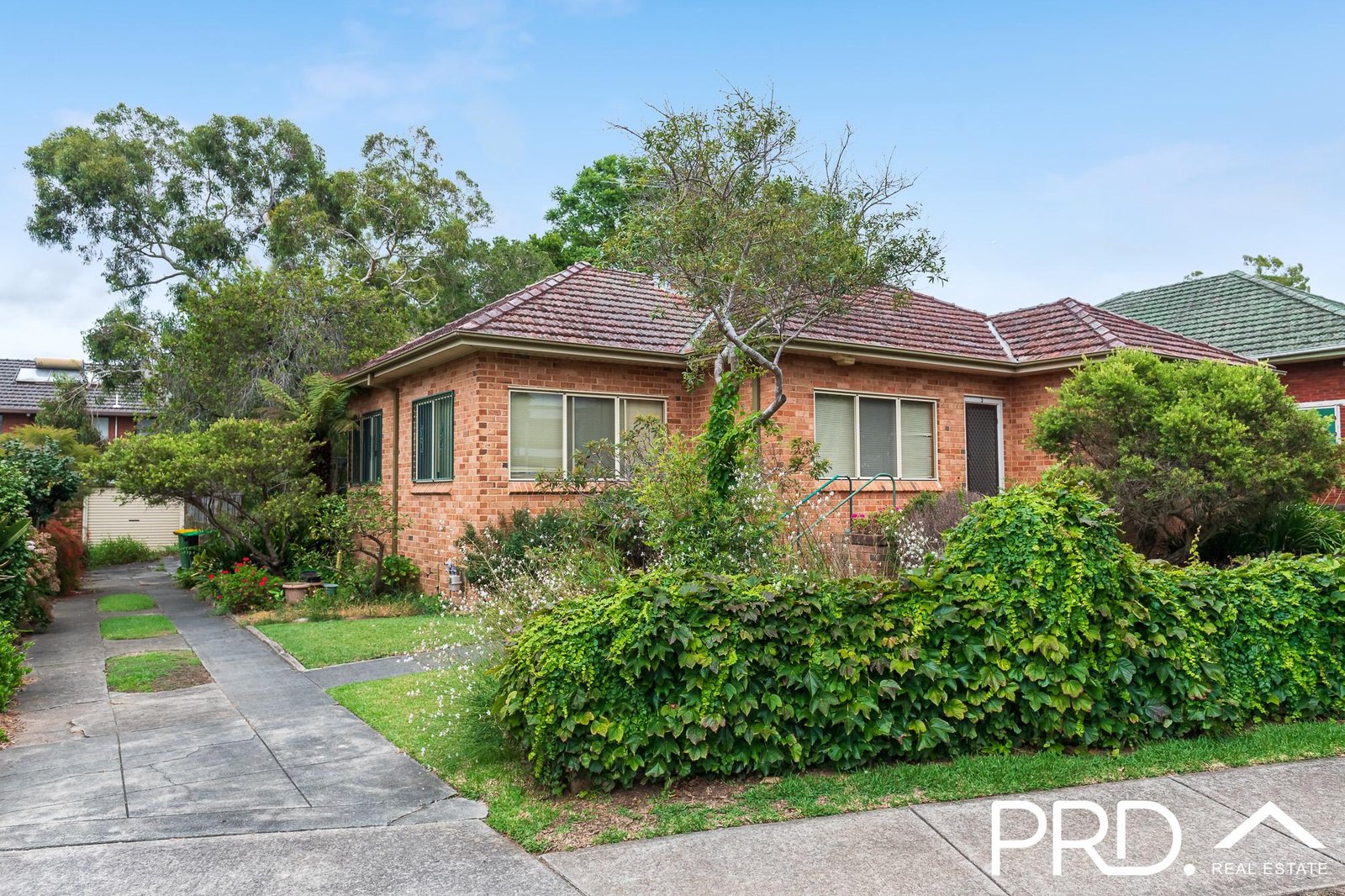 3 Forrest Road EAST HILLS 1