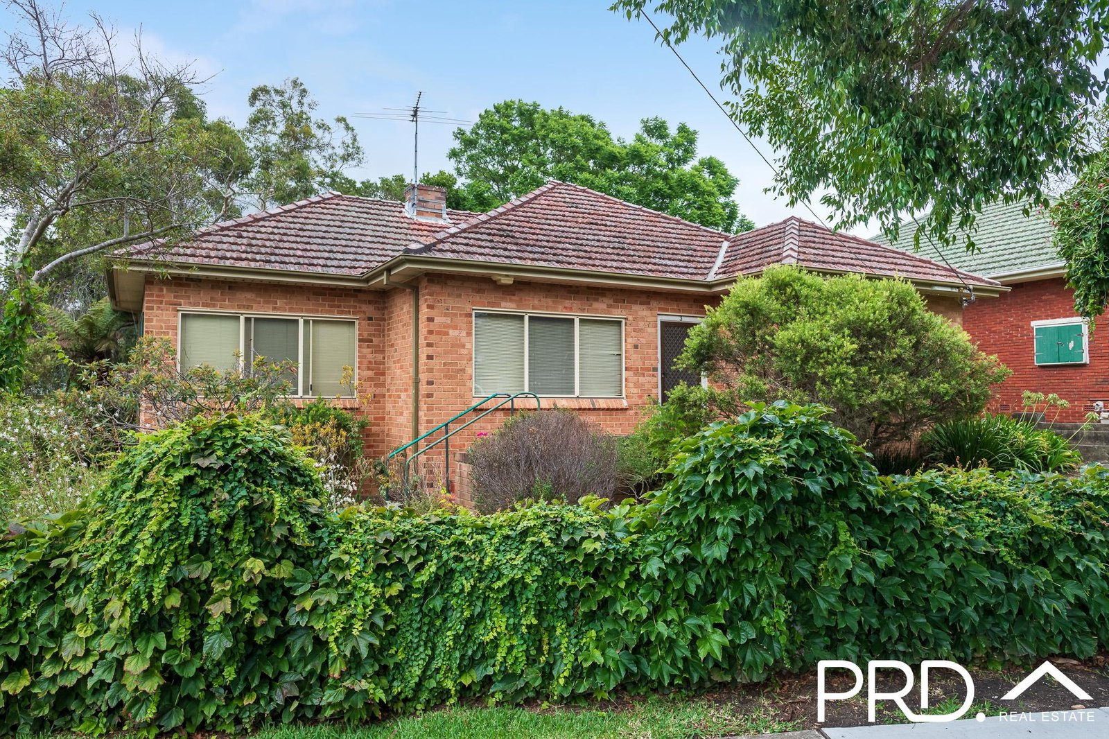 3 Forrest Road EAST HILLS 2