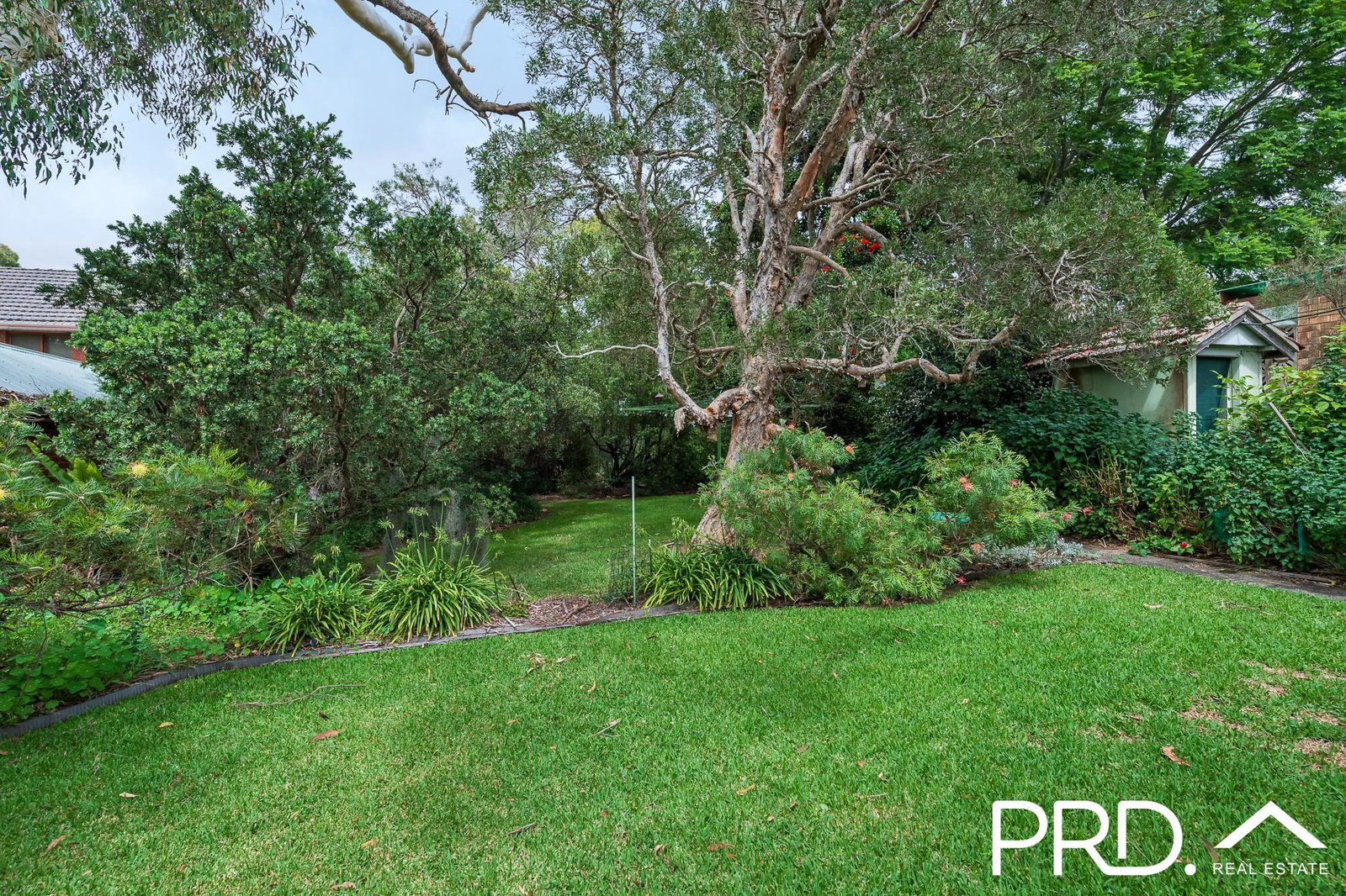 3 Forrest Road EAST HILLS 6