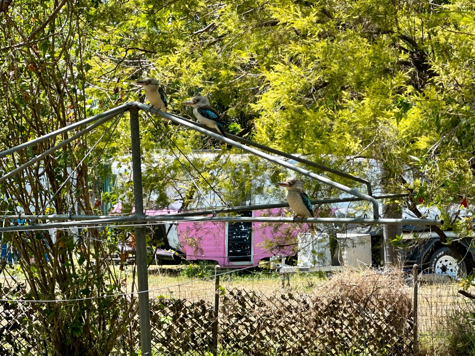 3 Franmaur Street SUN VALLEY 21