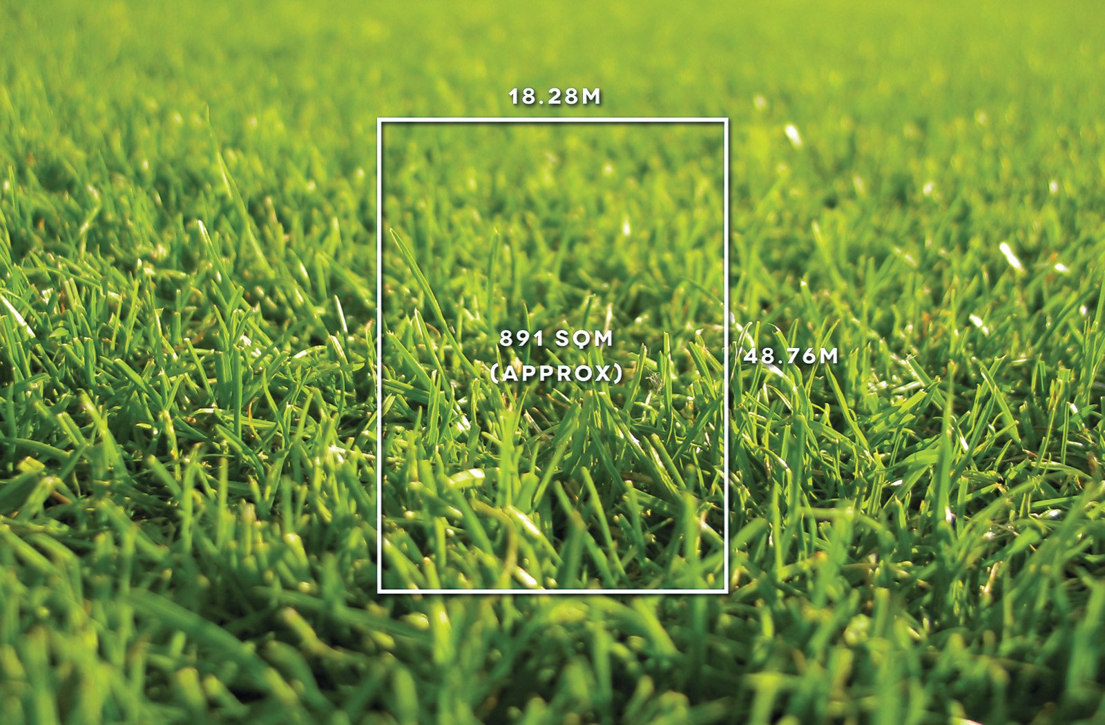 3 Glenluss Street, Balwyn, VIC